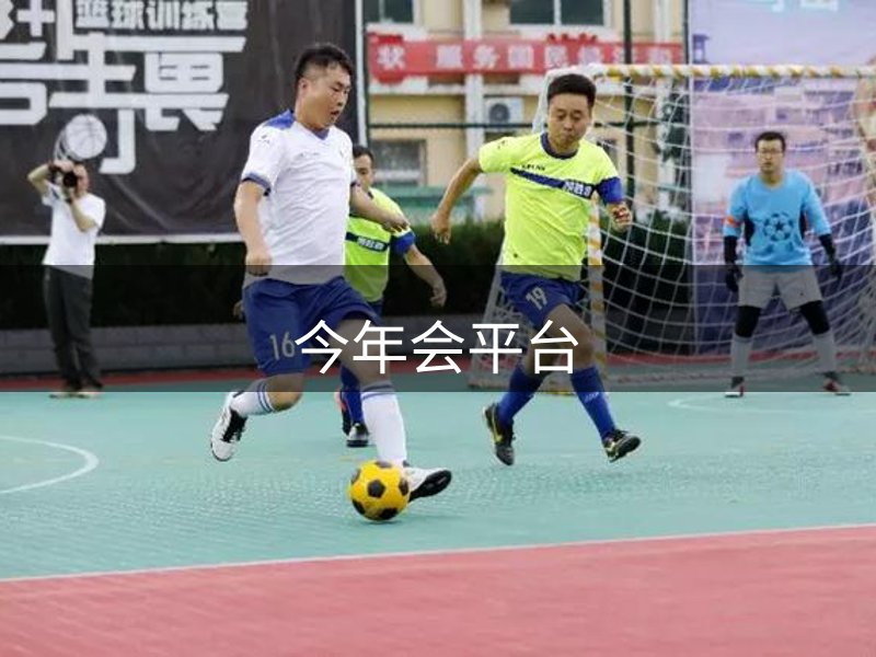 今年会平台介绍